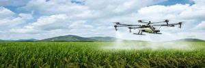 Drones Help in Crop Monitoring and Field Analysis