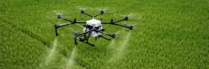 What Farmers Should Know About Precision Agriculture with Drones