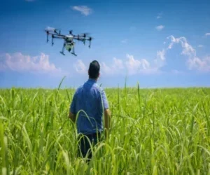 Crop Monitoring Using Drones