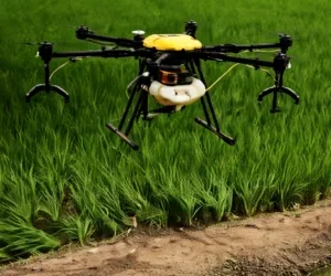 What a Drone Helps You Understand (Soil + Water)